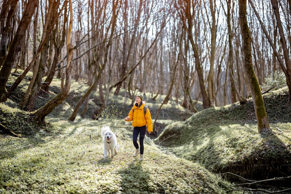 Young woman in hiking clothes and backpack spend time together with big white dog in green spring forest. Enjoys and explore of tranquil nature.