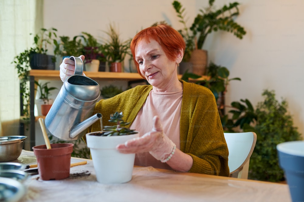 Femme mûre aux cheveux roux arrosant des plantes en pot à table à la maison pendant les loisirs