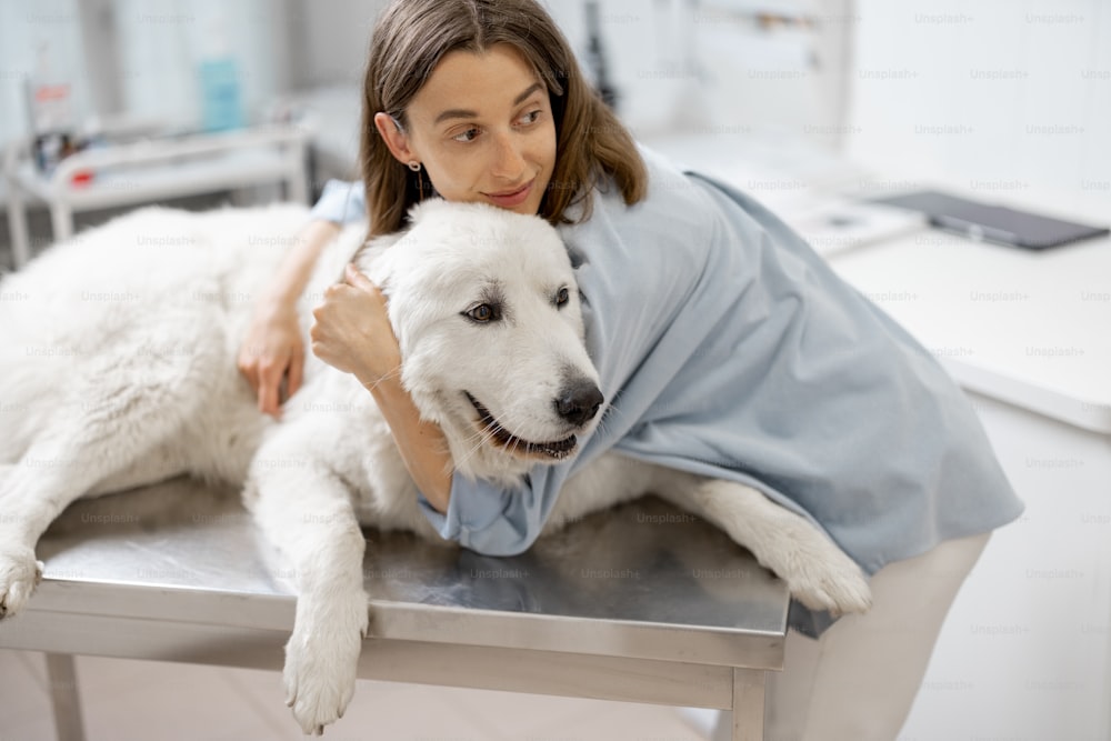 Female owner hugs and calm a big white sheepdog in a veterinary clinic while patient lying at examination table and waiting a doctor. Treatment and pet care. Visit a veterinarian.