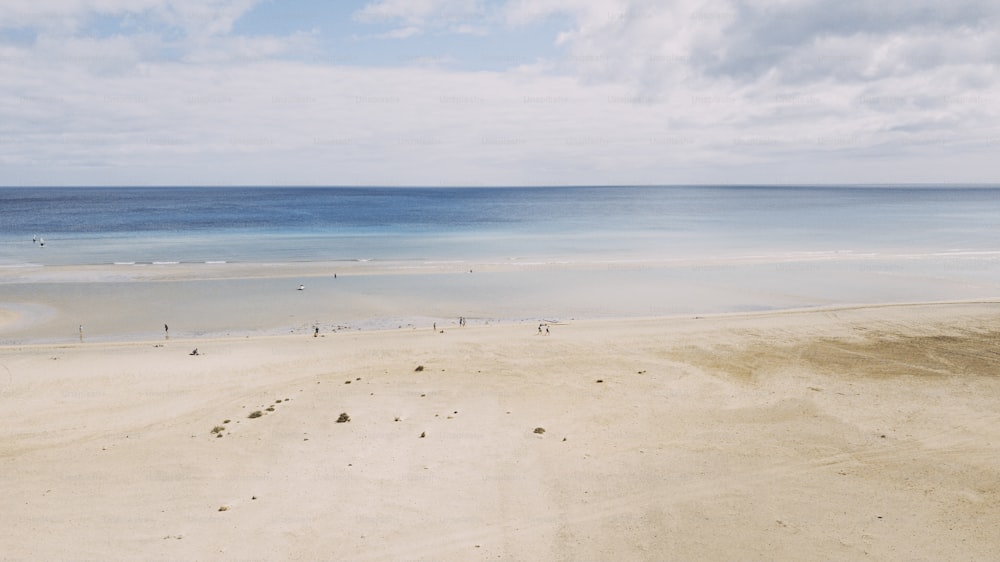 Amazing tropical sand beach with blue transparent sea water and sky in background. Tourism and tourists travel destination for summer holiday vacation. Copy space and beautiful landscape