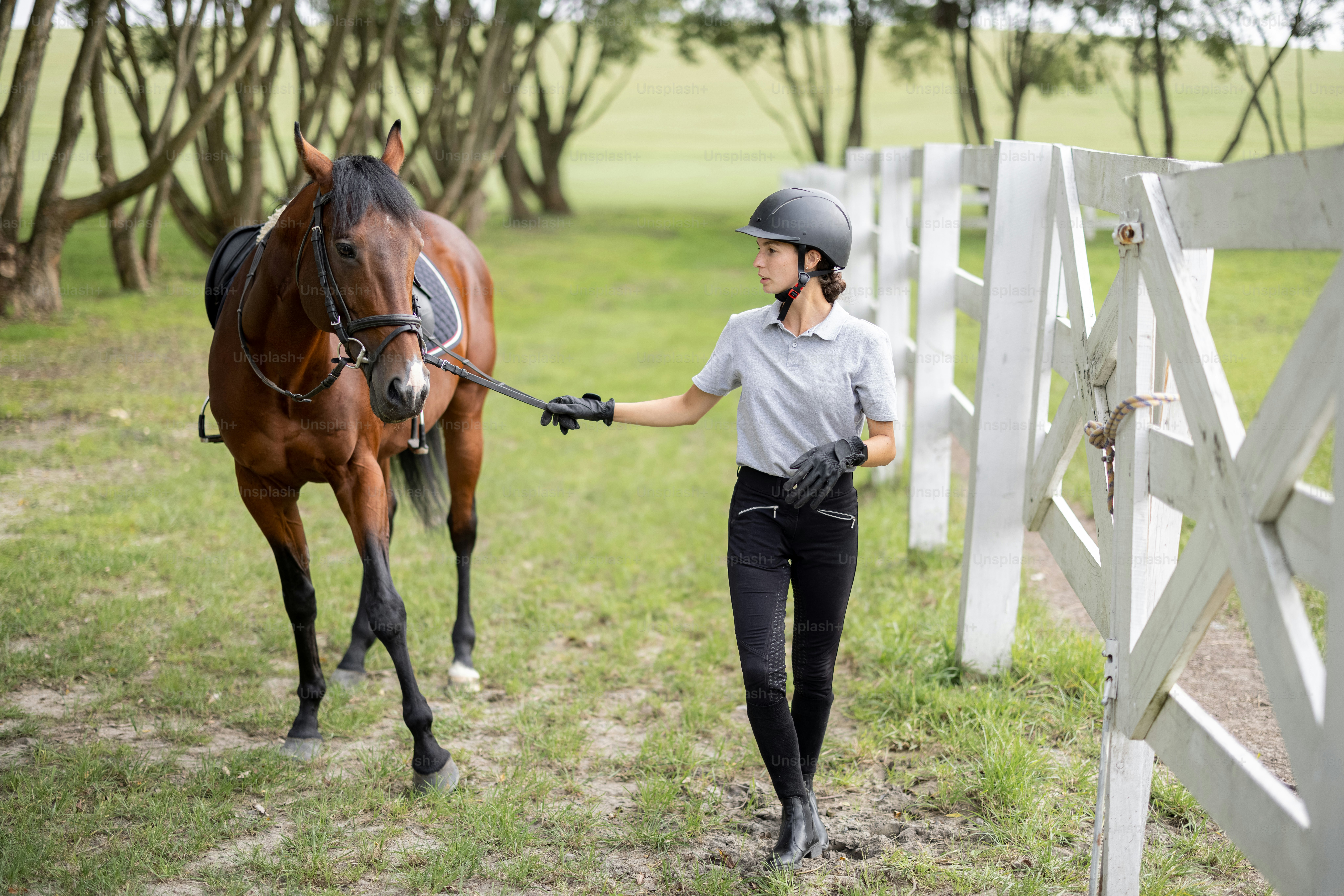 Female horseman going on meadow with her brown Thoroughbred horse. Concept of animal care. Rural rest and leisure. Idea of green tourism. Green countryside landscape on sunny day. Young european woman