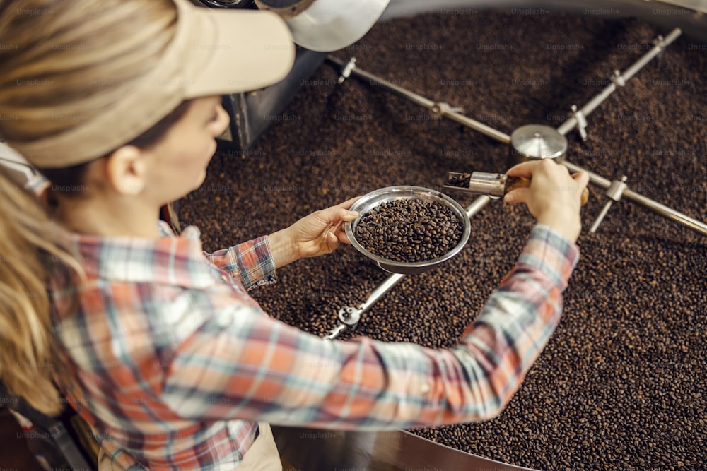 커피 ��곡물 로스팅 수준을 측정하는 커피 공장 노동자.