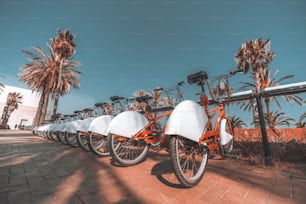 ヤシの木に囲まれたバルセロナ通りに赤いレンタル自転車が長い列を停めています。晴れた日に駐車場に接続され、遠くまで伸びる自転車の広角ビュー
