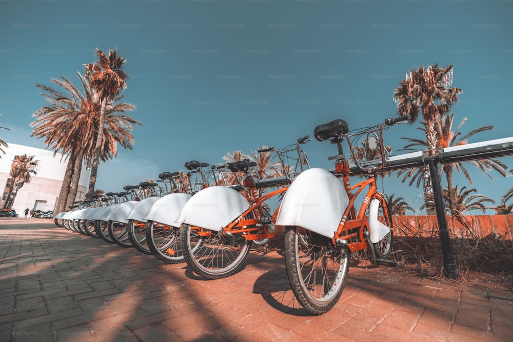 A long row of rental red parked bicycles on Barcelona street surrounded by palm trees; wide-angle view of the bikes plugged into their parking place and stretching into the distance on a sunny day