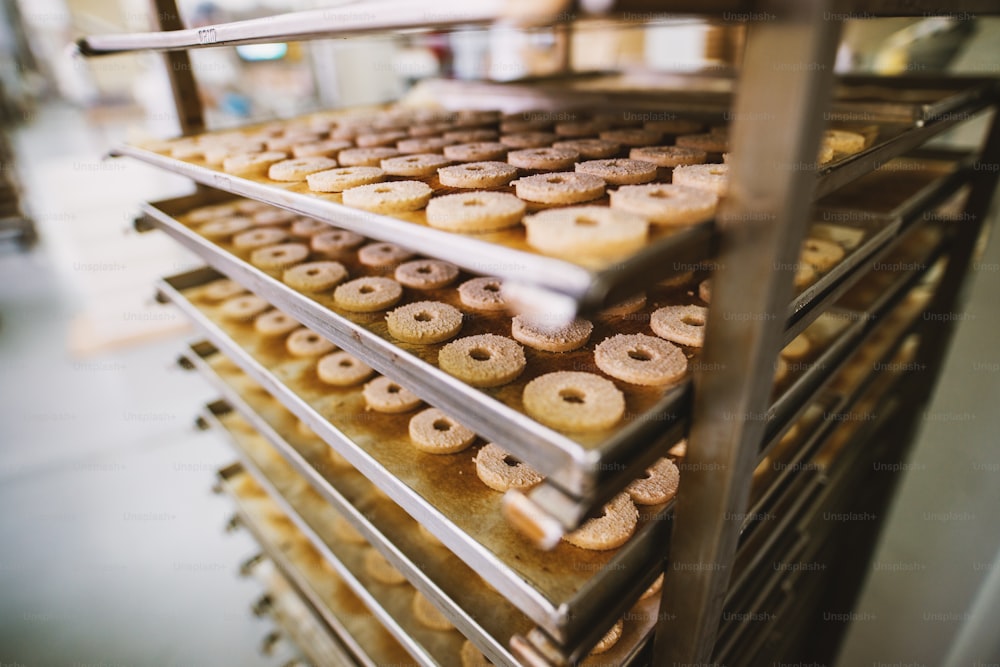 Fábrica de galletas, industria alimentaria. Fabricación. Producción de galletas.