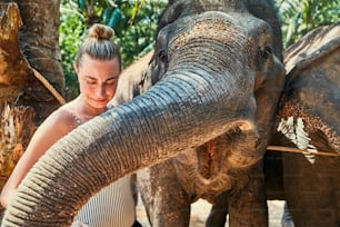 Mujer sonriente acariciando la trompa de un elefante asiático en un santuario de animales en Tailandia