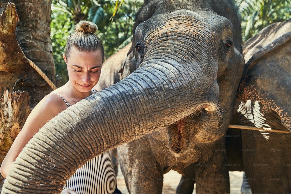 Lächelnde Frau streichelt den Rüssel eines asiatischen Elefanten in einem Tierheim in Thailand