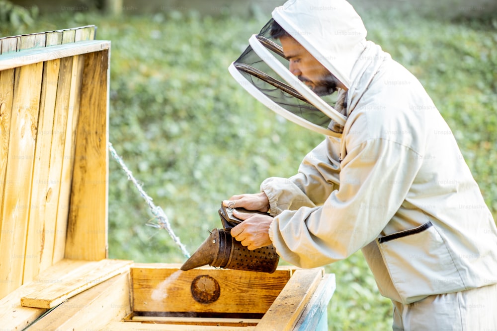 Beekeeper smoking honey bees with bee smoker on the apiary