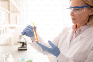 Serious mature lady chemist in lab coat concentrated on scientific experiment holding test tube and waiting for reaction on reagent