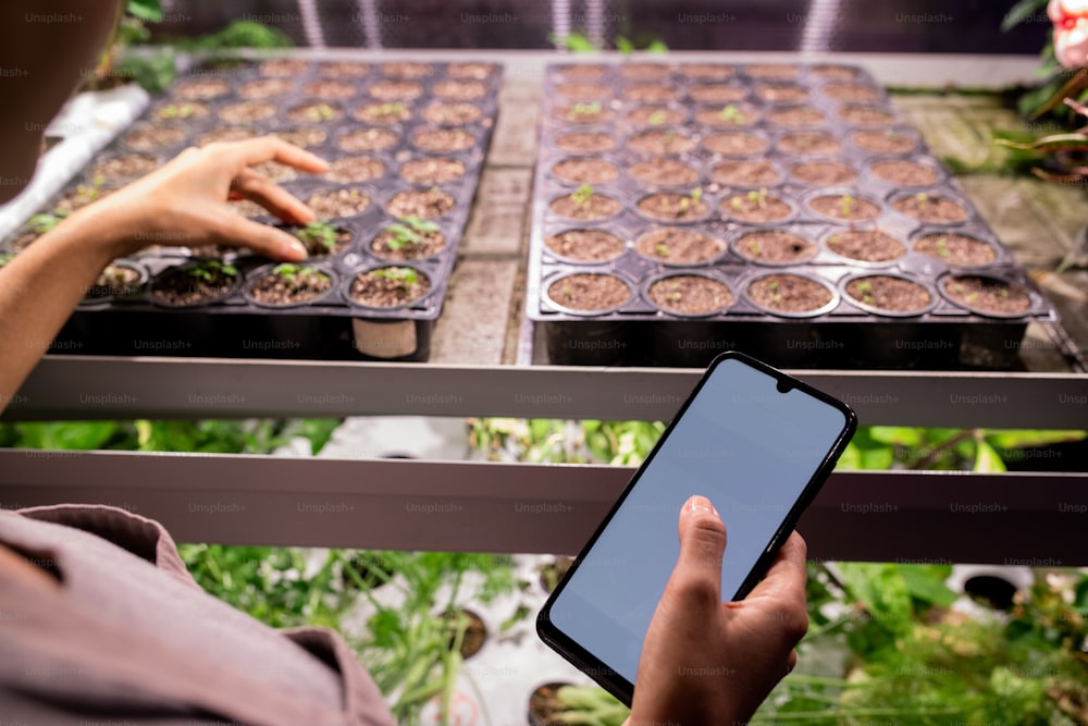 Smartphone in hand of young contemporary farmer standing by shelf with green seedlings growing in small pots
