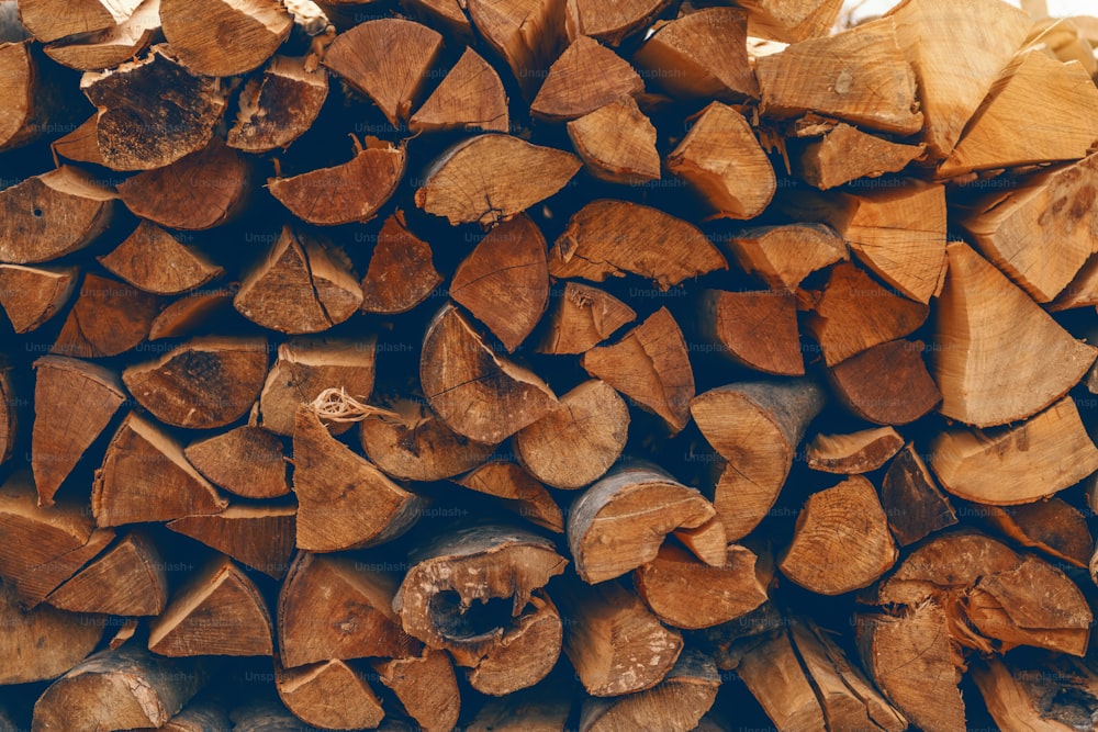 Picture of logs stacked on pile.