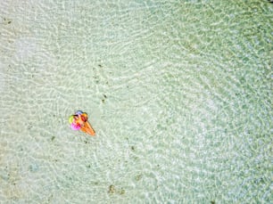 Aerial view of people in summer holiday vacation with beautiful girl on coloured trendy lilo relaxing and sunbathing on clear green ocean lagoon beach water