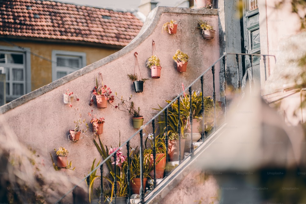 A stone plaster wall paint in pink color as a part of a staircase fence with many flowerpots hanging on it and standing on the steps of stairs next to the porch and the door; a typical European facade