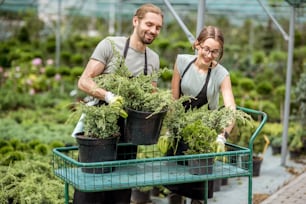 Un couple de travailleurs en uniforme met des plantes en vente sur le chariot dans la serre