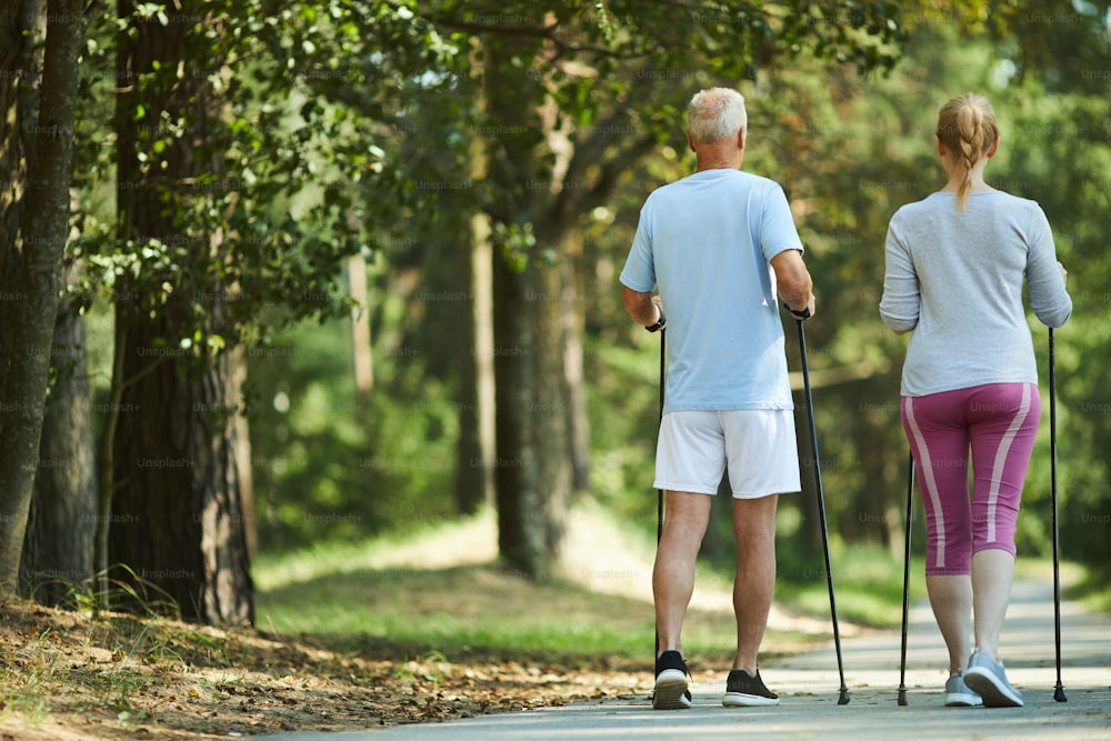 Back view of couple of pensioners in activewear trekking on summer day in natural environment