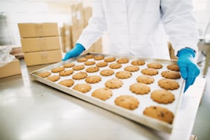 Closeup of employee holding fresh made cookies in food factory.