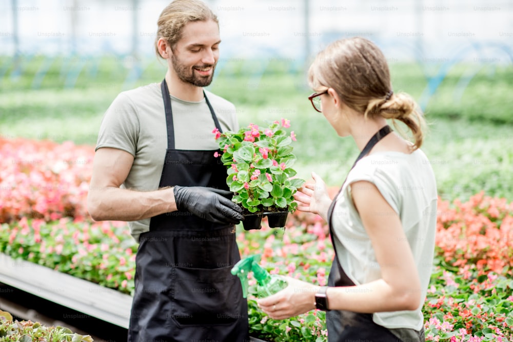 Jeune couple de travailleurs prenant soin des fleurs dans la serre de production végétale