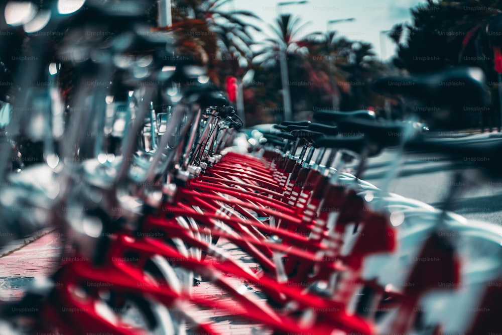 The row of parked bicycles for public use, vivid red colors with selective focus in the middle, shallow depth of field with strong bokeh, palms in the background, sunny summer day in Barcelona, Spain