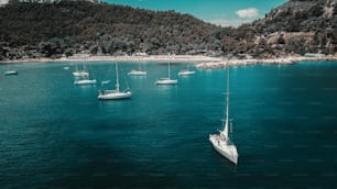 Aerial shot of beautiful blue lagoon at hot summer day with sailing boat. Top view.