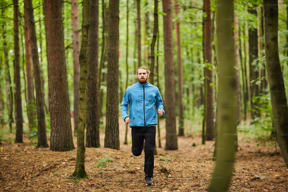 Joven deportista corriendo entre pinos y abedules por el sendero del bosque mientras entrena por la mañana