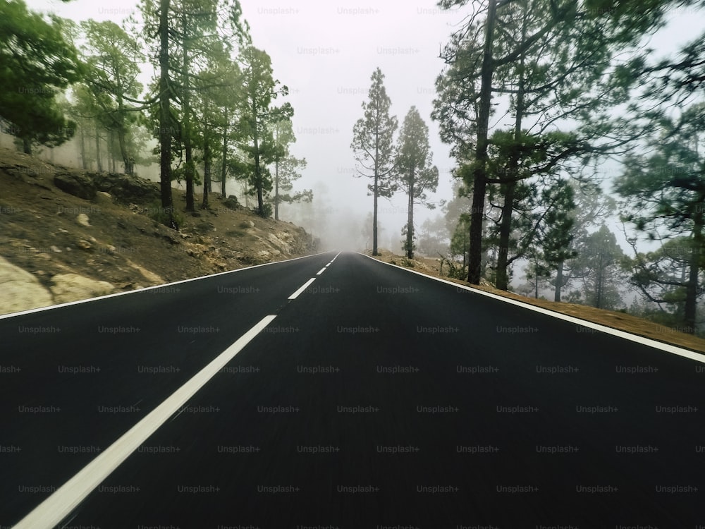 Long way road at the mountain with pines forest and fog clouds in front and grey clear sky - ground point of view with black asphalt and white lines - driving and travel concept