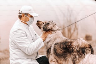 Mature veterinarian in white coat, mask and cap crouching and petting dog. Rural exterior.