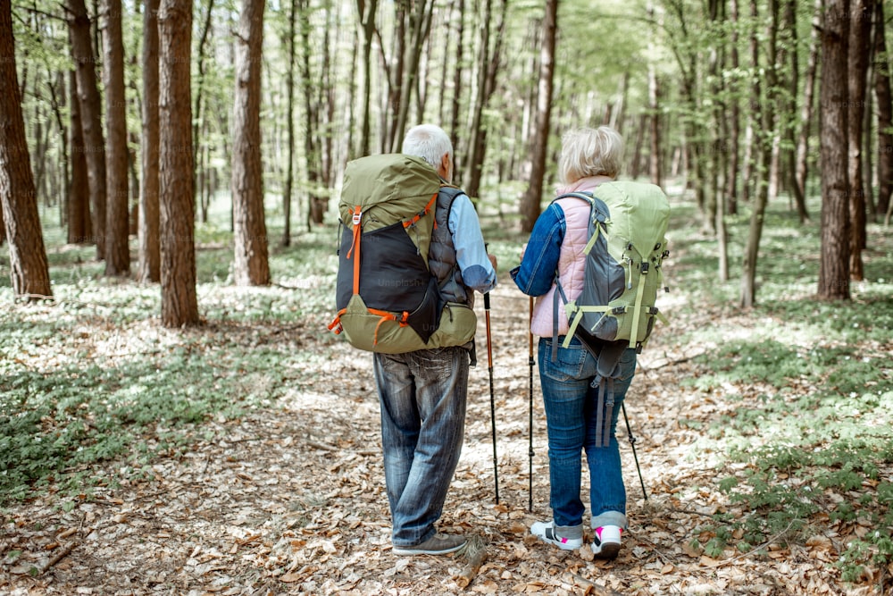 Schönes älteres Paar, das mit Rucksäcken und Trekkingstöcken im Wald wandert, Rückansicht Konzept des aktiven Lebensstils im Ruhestand
