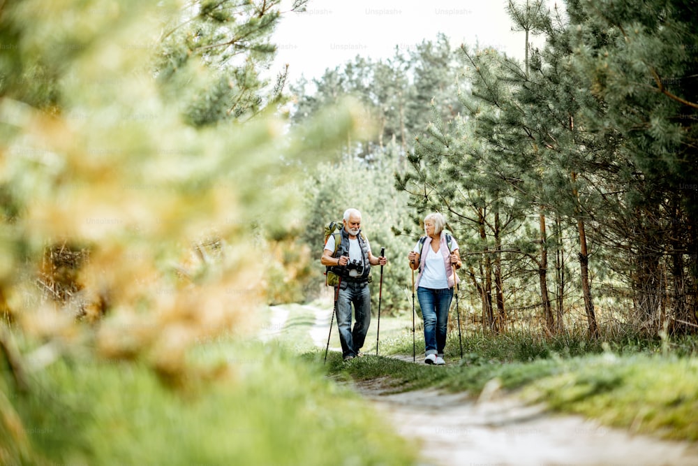 Feliz casal de idosos caminhando com bastões de trekking e mochilas na jovem floresta de pinheiros. Desfrutar da natureza, ter um bom tempo em sua aposentadoria