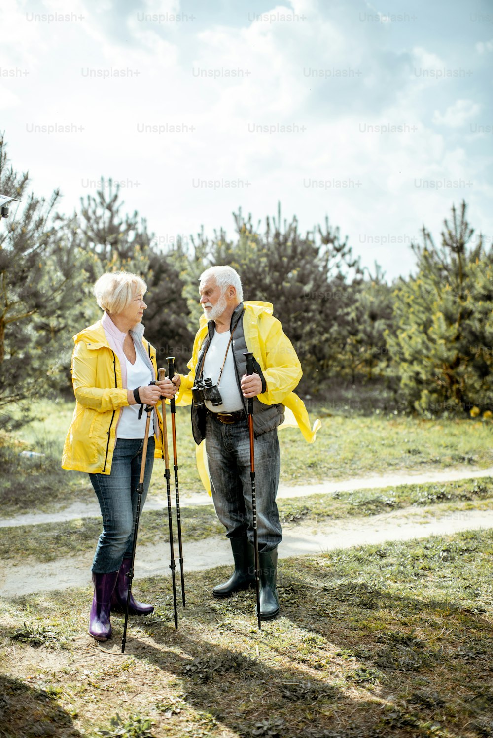 Retrato de um casal de idosos felizes em capas de chuva amarelas caminhando com varas de trekking na jovem floresta de pinheiros. Conceito de um estilo de vida ativo na aposentadoria
