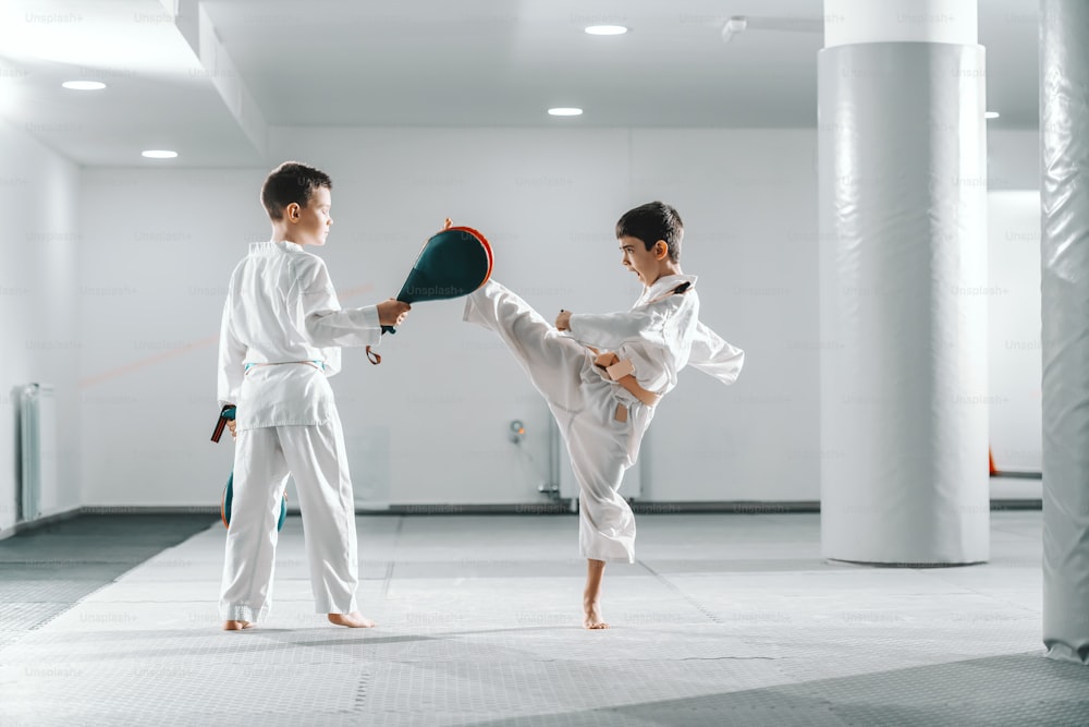 Dos jóvenes caucásicos en doboks entrenando taekwondo en el gimnasio. Un niño pateando mientras otro sosteniendo el objetivo de patada.