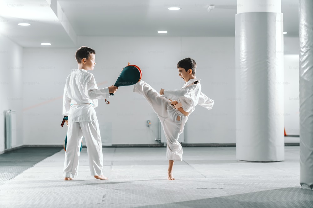 Two young Caucasian boys in doboks having taekwondo training at gym. One boy kicking while other one holding kick target.