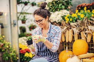 Beautiful Caucasian smiling florist in apron and gardening gloves on sitting in front of greenhouse and holding flowerpot with little red flower.