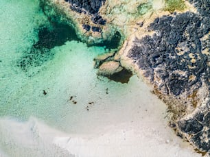 Vertical aerial view of white lagoon sand beach and clear tourquoise water - resort beautiful summer holiday destination with ocean and rocks - paradise and relax concept with nature