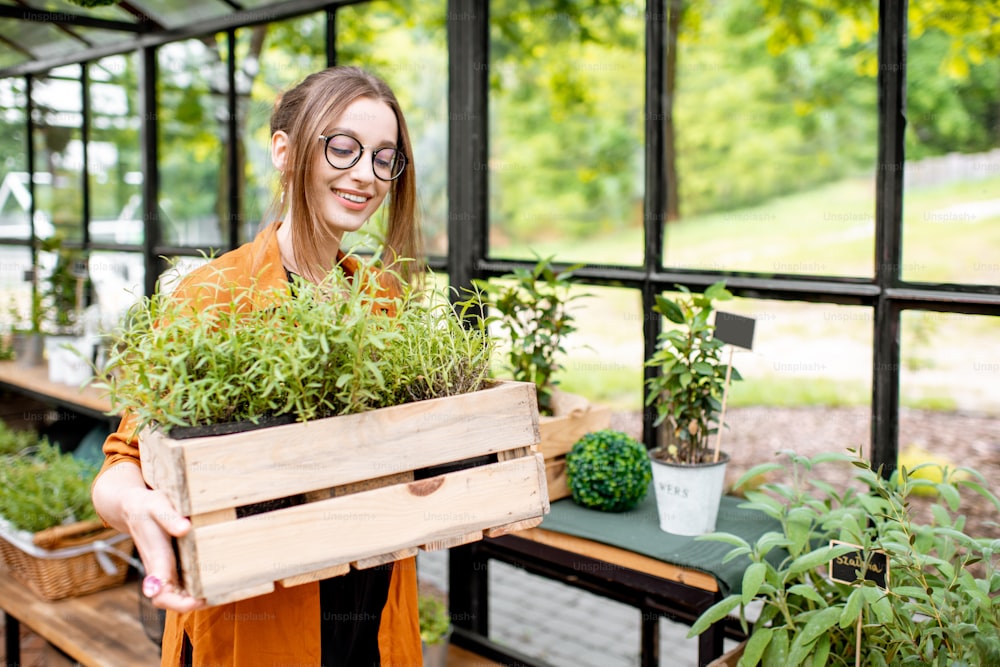 Junge Frau, die sich um Pflanzen kümmert, Kräuter und Blumen im schönen Gewächshaus anbaut