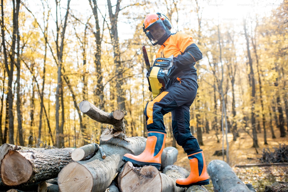 Professional lumberjack in protective workwear working with a chainsaw in the forest. Woodcutter makes a logging outdoors