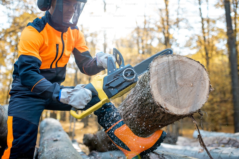 보호 작업복을 입은 전문 벌목꾼이 숲에서 전기톱으로 작업하고 두꺼운 나무 통나무를 톱질합니다.