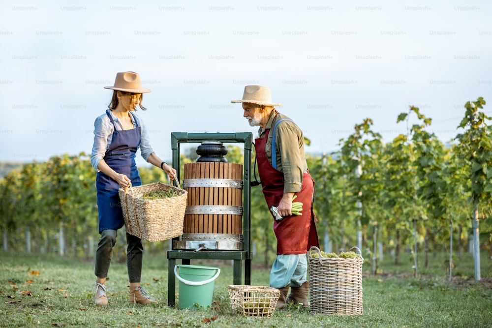 Hombre mayor y mujer joven como enólogos exprimiendo uvas con máquina de prensa en el viñedo, obteniendo jugo fresco para la producción de vino