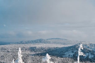 青空を背景�に雪と雲に覆われたタガナイ山脈の冬の風景