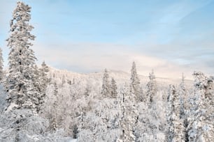 Winter landscape of coniferous forest covered with snow and mountains of Taganay, the Urals against blue sky