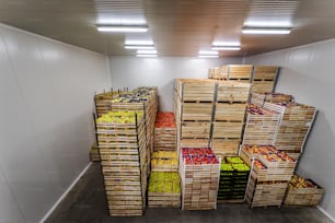 Apples and pears in crates ready for shipping. Cold storage interior.