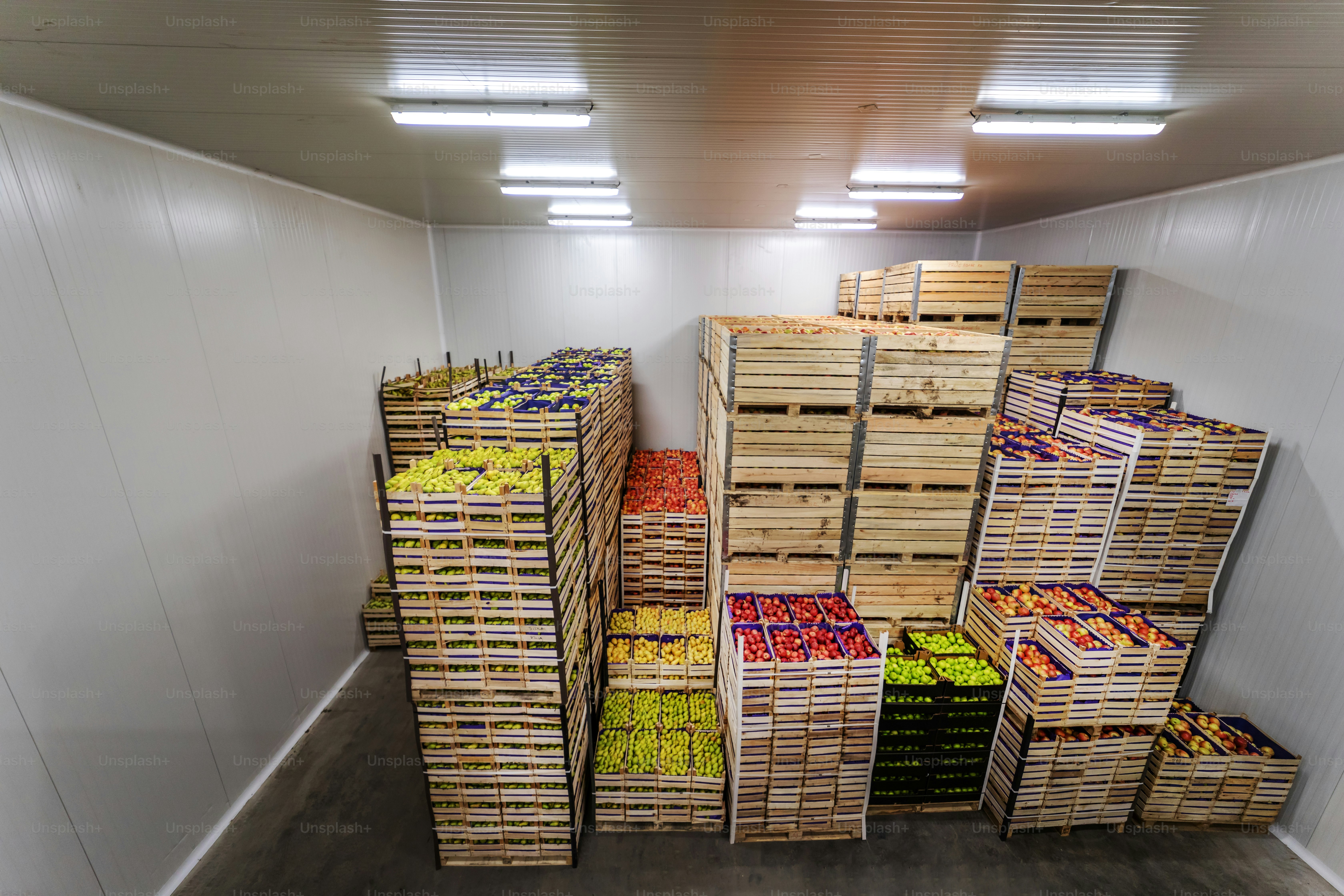 Apples and pears in crates ready for shipping. Cold storage interior