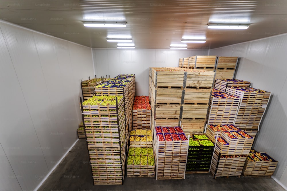 Apples and pears in crates ready for shipping. Cold storage interior.