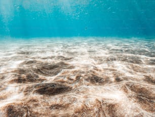 Vista subacquea sulla spiaggia con sabbia e acqua pulita trasparente blu - concetto di vacanza estiva in luogo tropicale