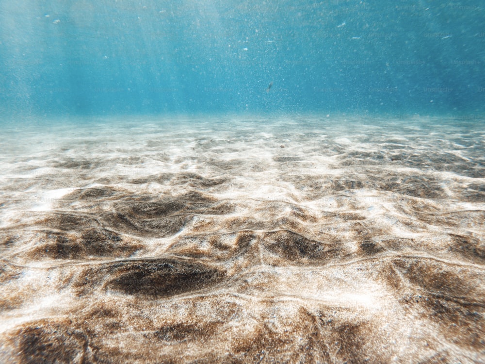 Vista subacquea sulla spiaggia con sabbia e acqua pulita trasparente blu - concetto di vacanza estiva in luogo tropicale