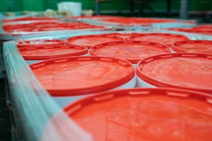 Close-up of paint containers with red covers wrapped together into stretch film at warehouse