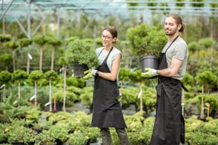 Jeune couple d’ouvriers en uniforme travaillant avec des plantes vertes tenant des pots avec un buisson de conifères dans la serre