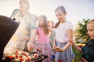 Happy grandfather is teaching his beautiful granddaughters how to make barbeque.