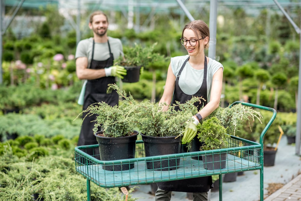 Couple of workers in uniform putting plants for sale on the shopping cart in the greenhouse