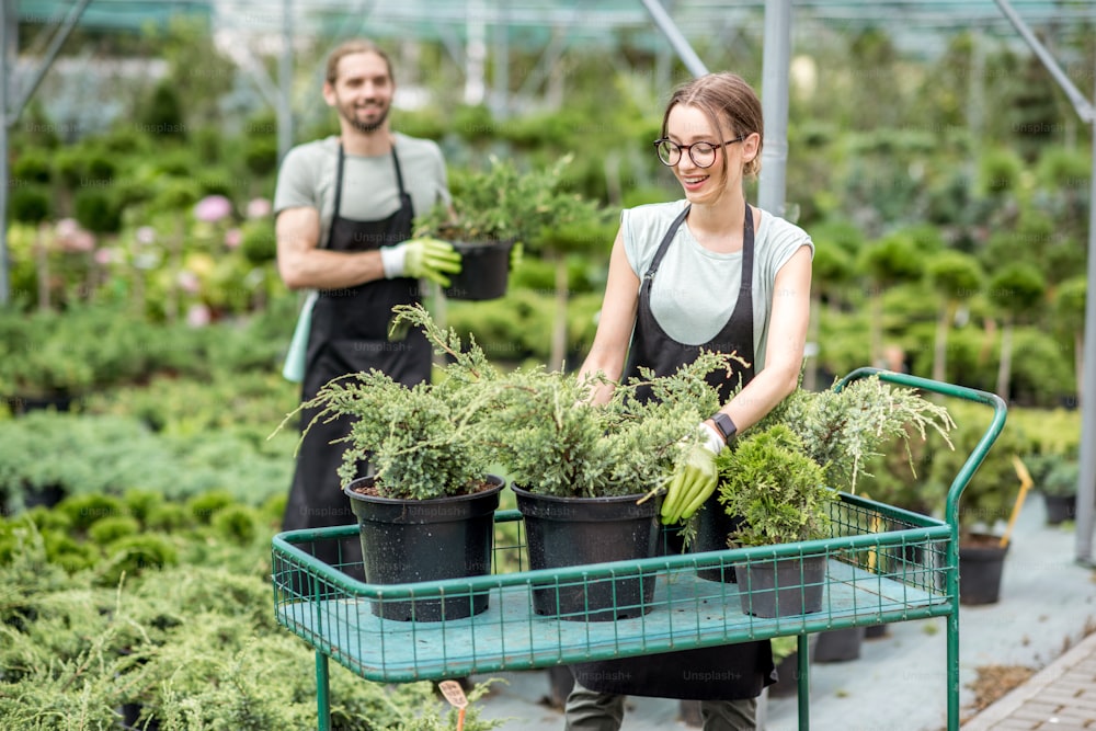 Couple de travailleurs en uniforme mettant des plantes à vendre sur le chariot d’achat dans la serre