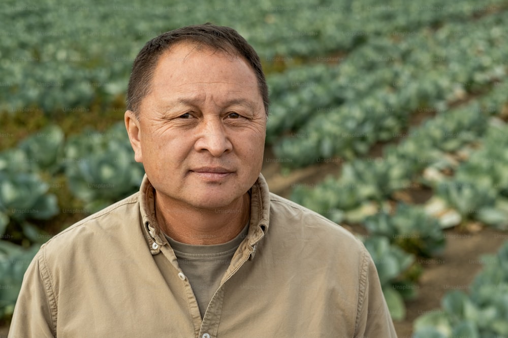 Retrato do trabalhador agrícola asiático sênior sério na camisa bege em pé contra a plantação